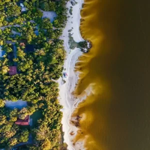 Leia mais sobre o artigo Monumento Natural Municipal da Lagoa do Peri celebra 44 anos