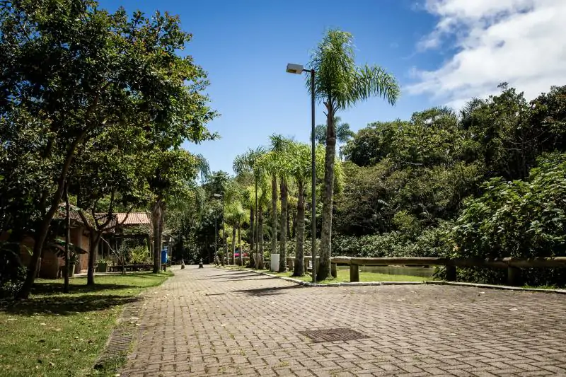 Parque Natural Municipal do Morro da Cruz celebra aniversário nesta segunda-feira, 8 1