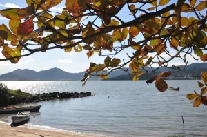 Leia mais sobre o artigo Primavera termina com calor e sol em Santa Catarina