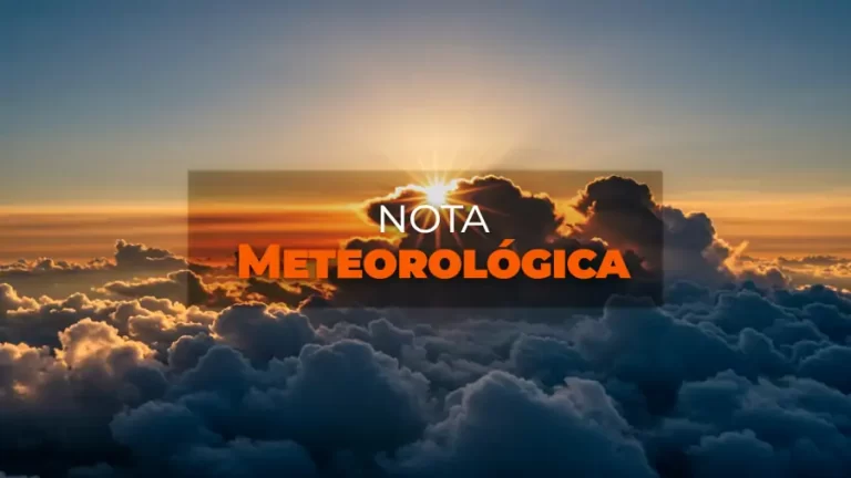 Notícias 5