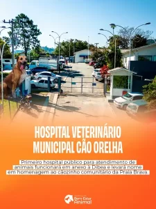 Florianópolis terá Hospital Veterinário Municipal gratuito com homenagem ao cão comunitário Orelha 4