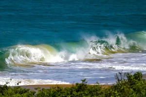 IMA divulga relatório de balneabilidade referente à semana de 29 de dezembro a 02 de janeiro de 2026 10