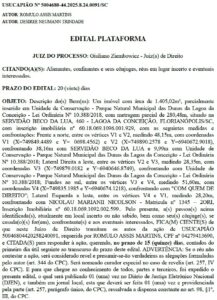 Leia mais sobre o artigo Edital de USUCAPIÃO Nº 5004680-44.2025.8.24.0091/SC
