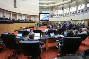 Assembleia Legislativa de Santa Catarina aprova projeto que proíbe fogos com estampido em SC 4