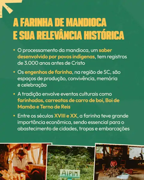 Consulta pública sobre os Engenhos de Farinha de Mandioca mobiliza comunidades em Santa Catarina 2