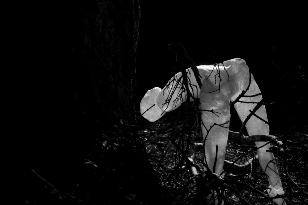 Lucas Flygare constrói instalação site-specific no MESC, em Florianópolis 1