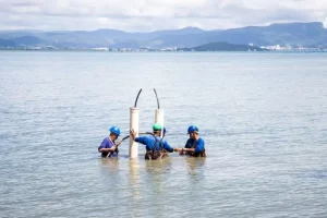 Ribeirão da Ilha terá o primeiro trapiche público para contemplação 3