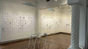 Circuito de exposições gratuitas ocupa diferentes espaços de Florianópolis 6