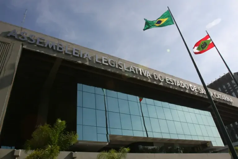 Notícias 15