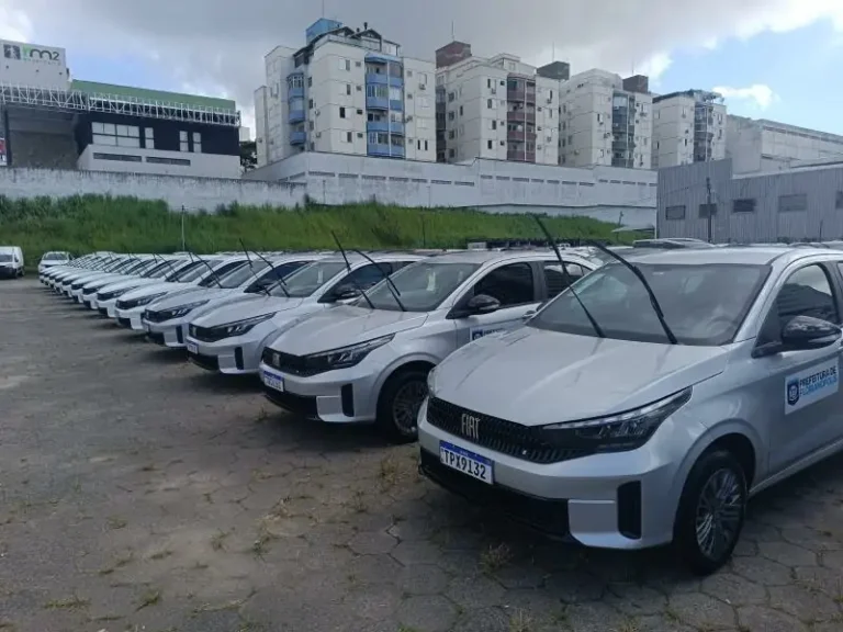 Notícias 6