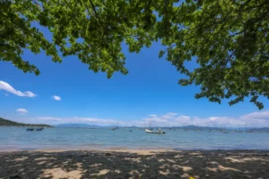 Leia mais sobre o artigo SEMAE prorroga prazo da consulta pública sobre a revisão da Instrução Normativa do Projeto Orla em Santa Catarina