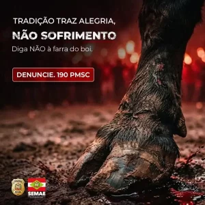 SEMAE reforça conscientização sobre combate à farra do boi em Santa Catarina 2