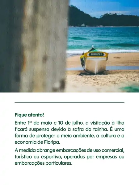 Ilha do Campeche tem visitação suspensa durante a safra da tainha e reforça regras de preservação 2