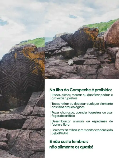 Ilha do Campeche tem visitação suspensa durante a safra da tainha e reforça regras de preservação 3