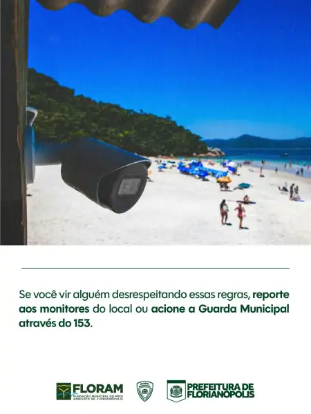 Ilha do Campeche tem visitação suspensa durante a safra da tainha e reforça regras de preservação 5
