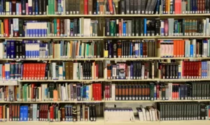 MEC disponibiliza aplicativo gratuito com oito mil livros 19