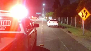 PMSC inicia Operação Semana Santa 2026 nas rodovias estaduais 4