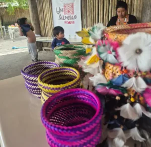 Udesc desenvolve atividades de extensão universitária em aldeias indígenas 2