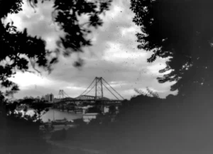 Veja como participar da mostra comemorativa aos 100 anos da Ponte Hercílio Luz 13