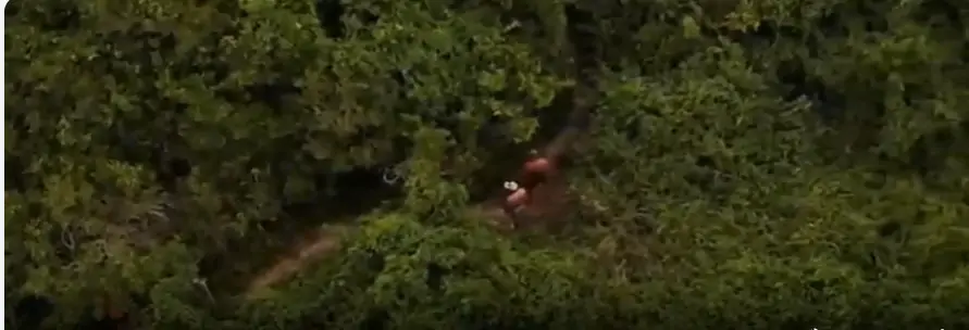 Sem resposta do Poder Público Municipal, vídeos sobre atos obscenos ampliam pressão por providências em Florianópolis 1