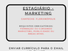 Estágio em Marketing – Campeche 11