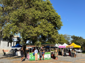 Home 8