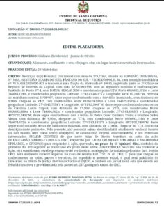 EDITAL DE USUCAPIÃO – 5000903 17.2026.8.24.0091 9