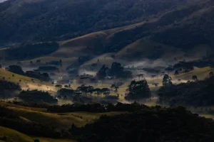 onda de frio