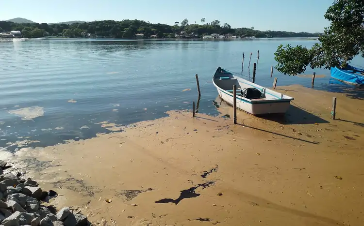 algas nocivas na Lagoa da Conceição