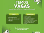 Repositor FLV