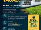 AUXILIAR DE PRODUÇÃO DE QUILHAS DE SURF
