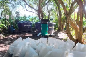 ACOMPECHE mantém monitoramento permanente durante período de fechamento da Ilha do Campeche