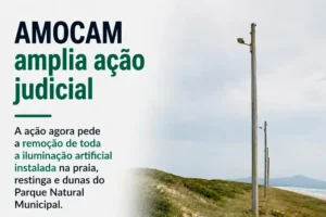 Leia mais sobre o artigo AMOCAM amplia ação judicial contra iluminação artificial na restinga da Praia do Campeche