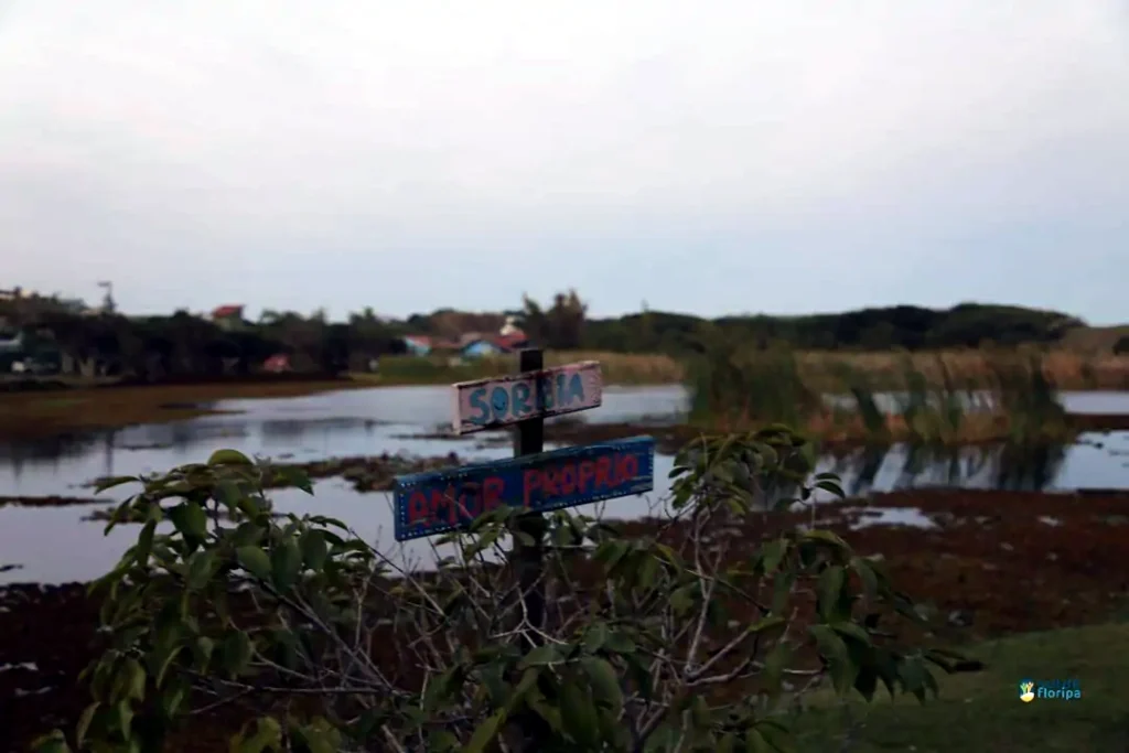 Lagoa da Chica – um refúgio de natureza e tranquilidade no Campeche 3 Lagoa da Chica – um refúgio de natureza e tranquilidade no Campeche 3