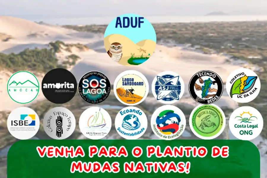 Mutirão de plantio de mudas nativas será realizado nas dunas da Joaquina neste sábado 1 Mutirão de plantio de mudas nativas será realizado nas dunas da Joaquina neste sábado 1