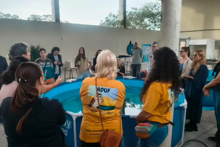 4º Encontro Formativo do Mutuca Educa reúne especialistas e comunidade para debater justiça climática e sustentabilidade 1 4º Encontro Formativo do Mutuca Educa reúne especialistas e comunidade para debater justiça climática e sustentabilidade 1