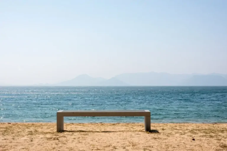 Florianópolis recebe mostra internacional