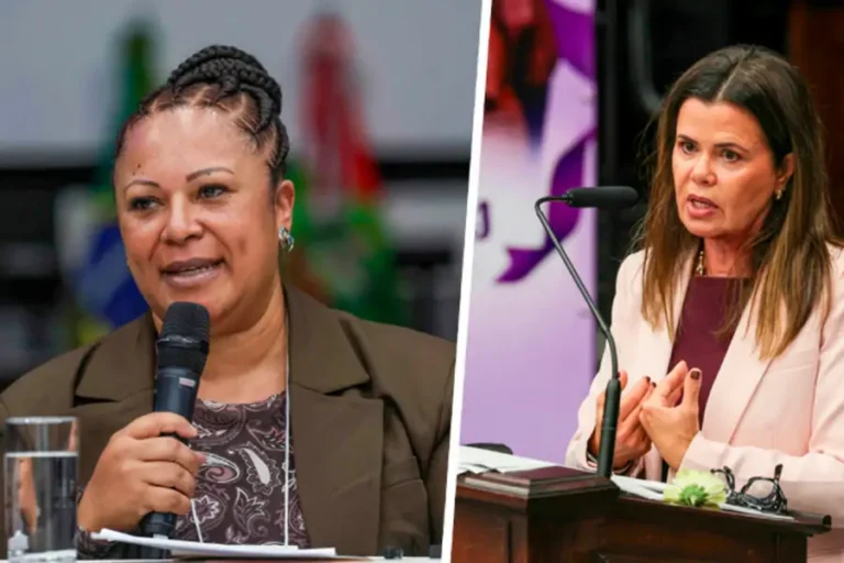Home 49 Seminário em Florianópolis debate avanços e desafios nos 20 anos da Lei Maria da Penha