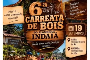 6ª Carreata de Bois do Alambique Indaiá