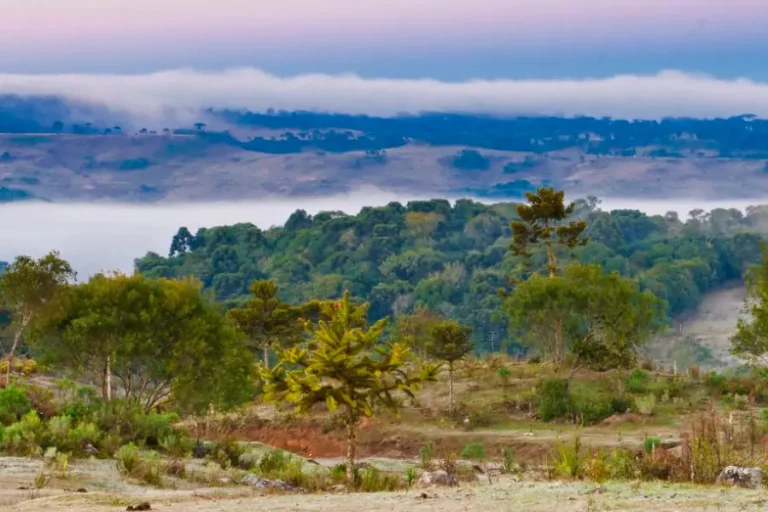 Frio persiste em Santa Catarina e chuva forte deve retornar a partir de sexta-feira