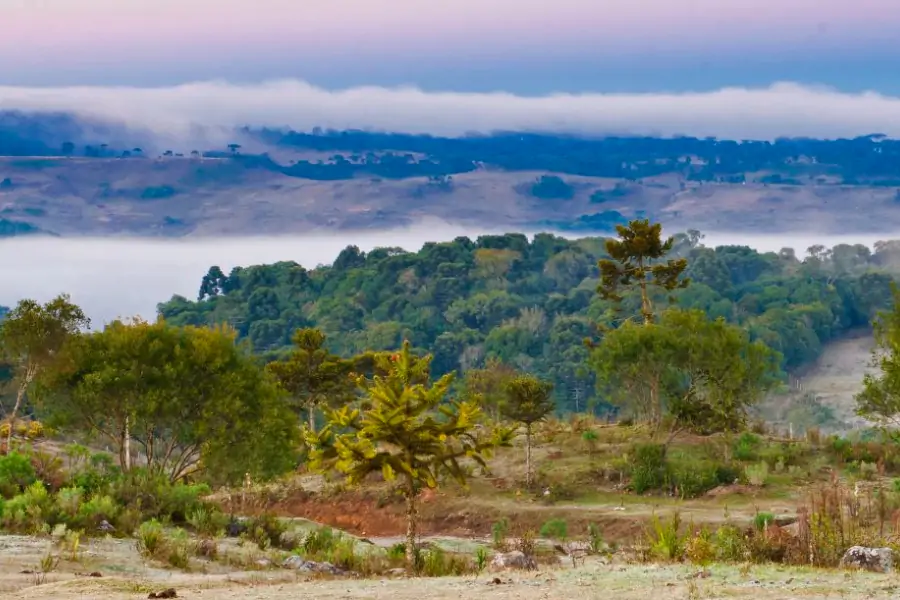 Frio persiste em Santa Catarina e chuva forte deve retornar a partir de sexta-feira 1 Frio persiste em Santa Catarina e chuva forte deve retornar a partir de sexta-feira 1