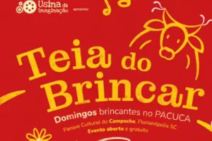 Leia mais sobre o artigo Teia do Brincar promove manhã gratuita de atividades para crianças no PACUCA