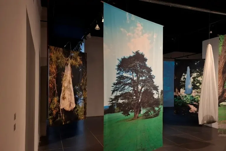 Florianópolis tem 10 exposições de arte gratuitas para visitar em outubro