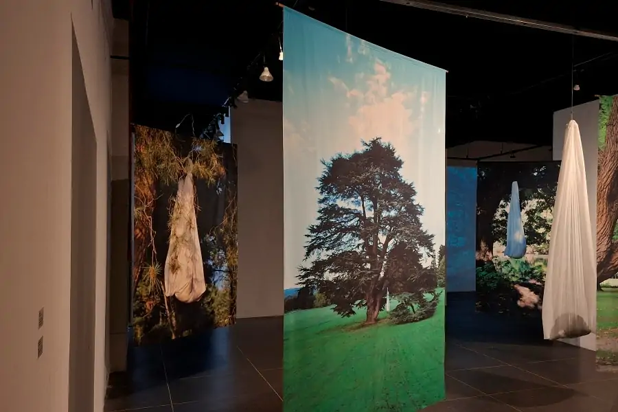 Florianópolis tem 10 exposições de arte gratuitas para visitar em outubro 1 Florianópolis tem 10 exposições de arte gratuitas para visitar em outubro 1