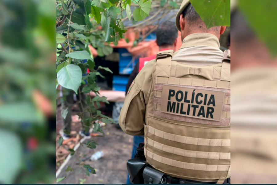 Polícia desocupa barraco construído em manguezal às margens da Via Expressa Sul, em Florianópolis 1 Polícia desocupa barraco construído em manguezal às margens da Via Expressa Sul, em Florianópolis 1